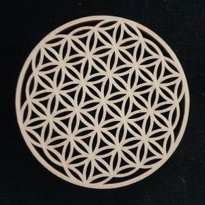 Flower of life